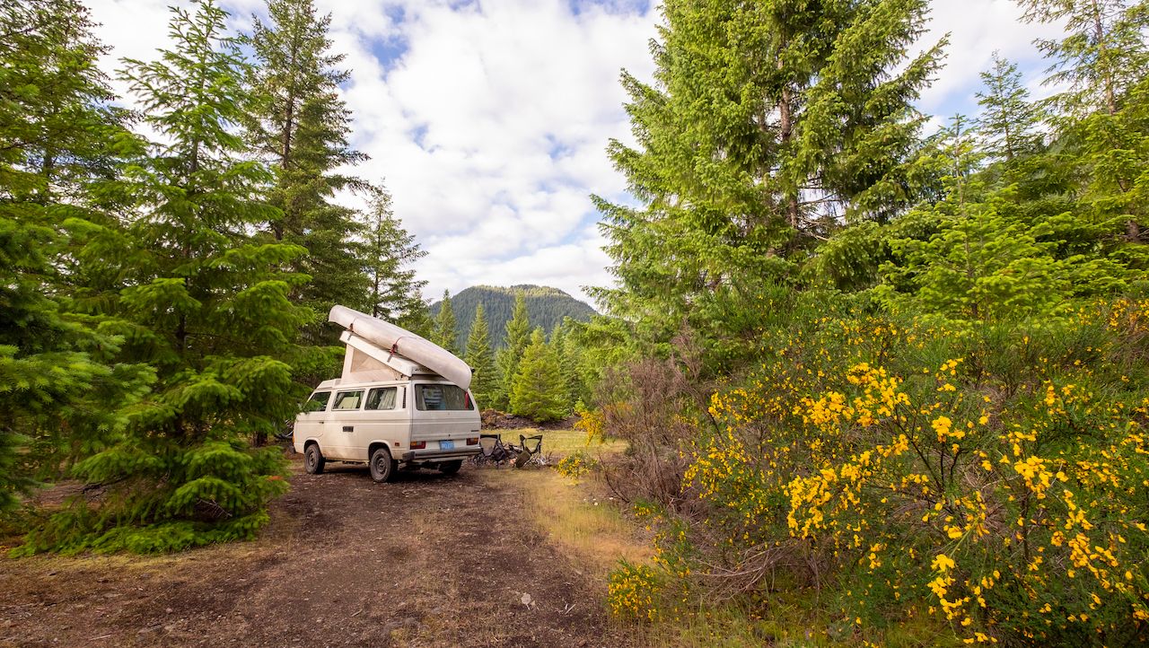 Oregon,,Usa,-,June,,9th,,2017:,Forest,Landscape,With,A, Where to camp for free in a van