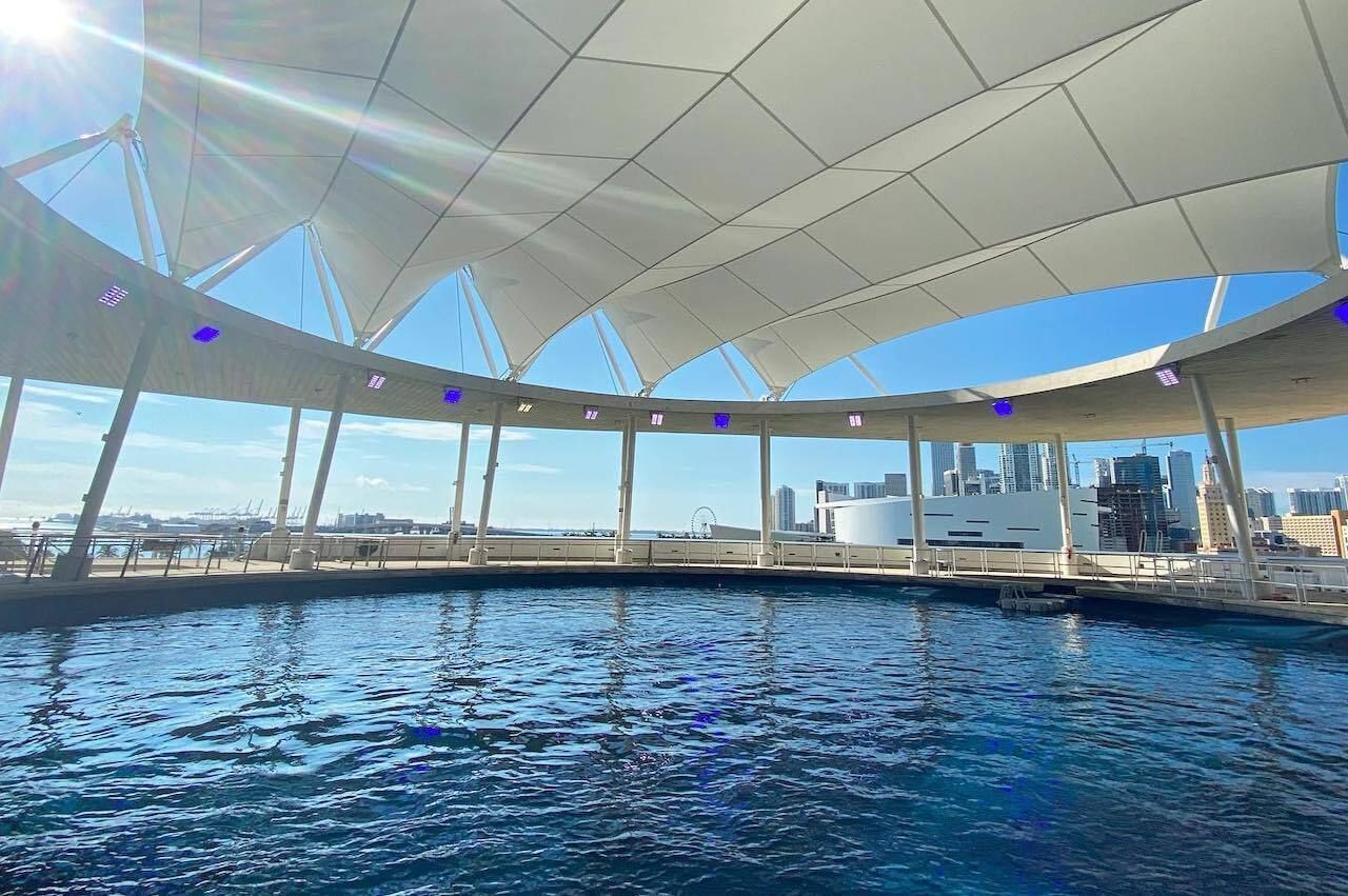 Gulf Stream Aquarium at the Frost Museum