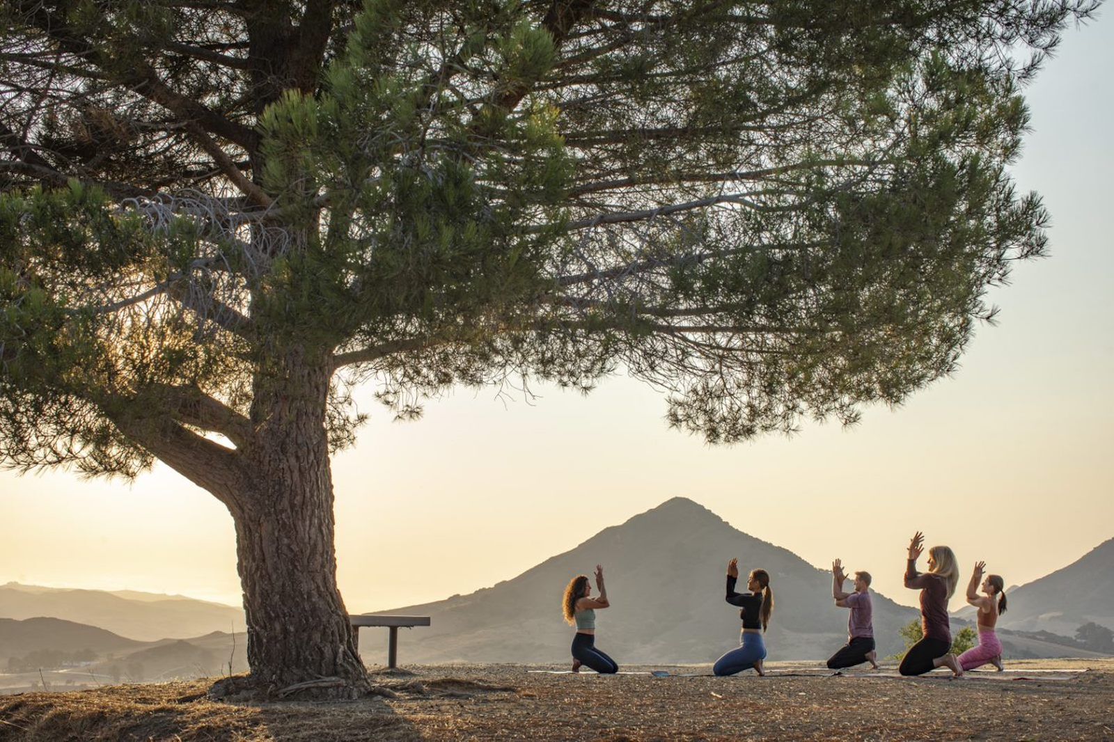 yoga near san luis obispo