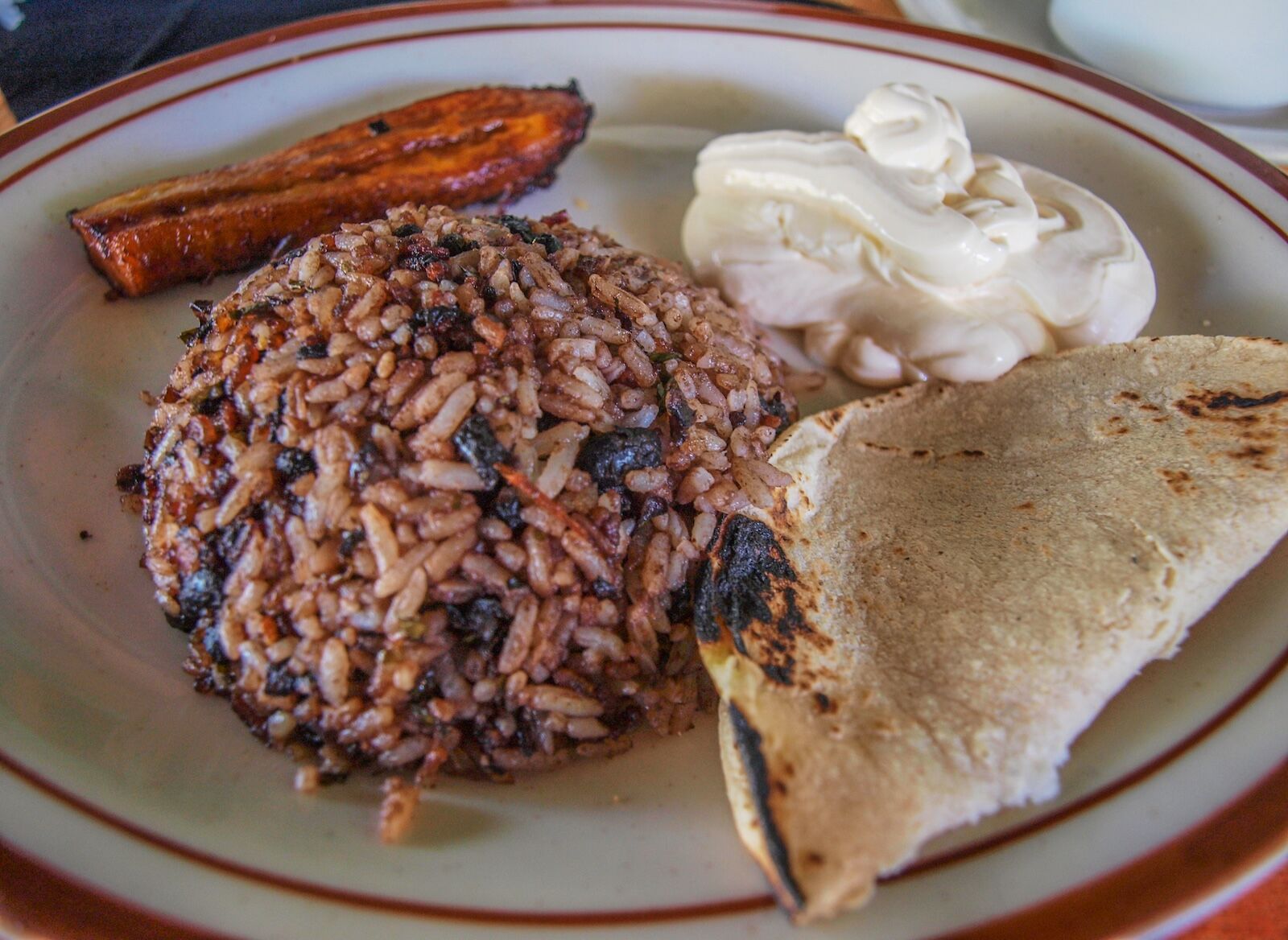 gallo pinto in costa rica